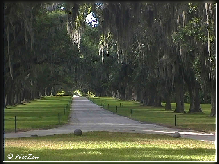 Boone Hall